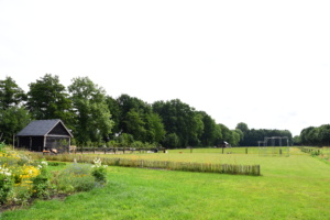 Omgeving van Wallenburg